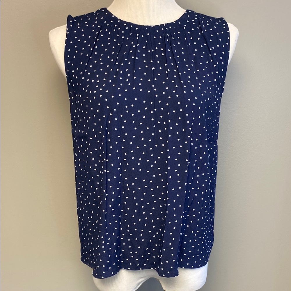 LOFT Blue and White Sleeveless Blouse with Relaxed Pleats